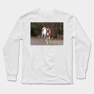 Wild horses, wildlife, Assateague, Island Babe Long Sleeve T-Shirt